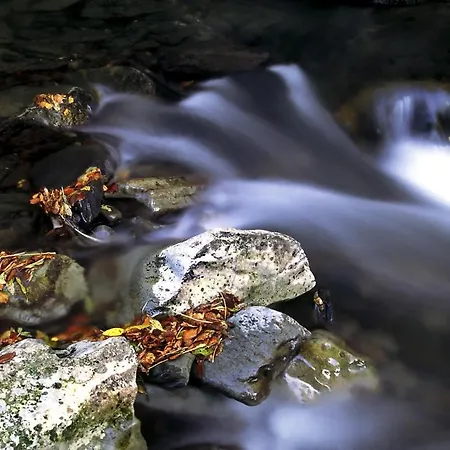 Lo Alto El Arenal (Castile and Leon)